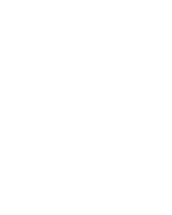 Shield Icon